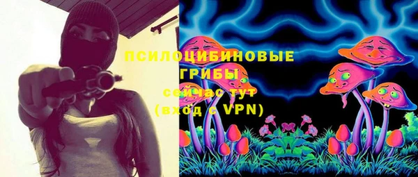 прущий лед Алексеевка
