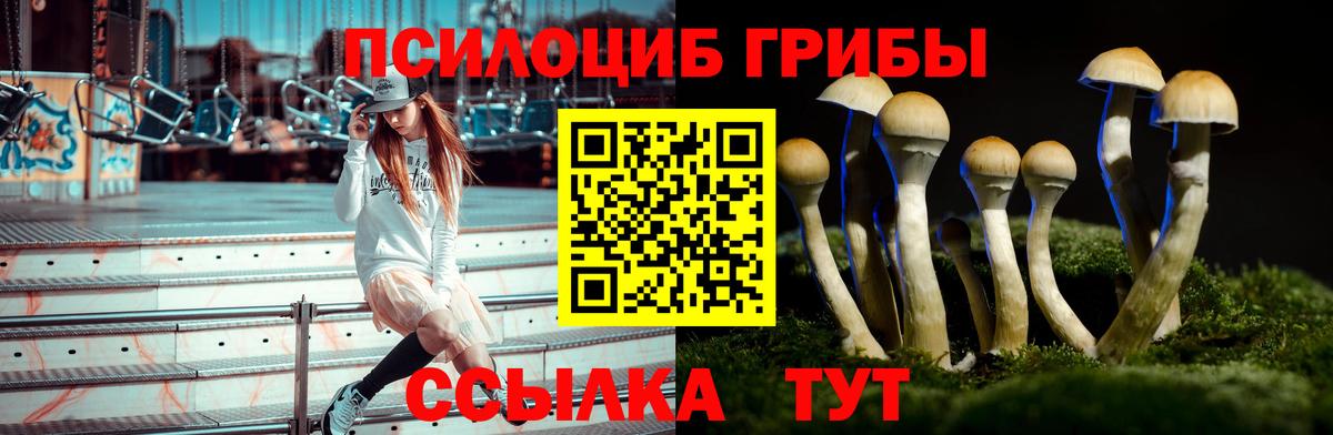 Узловая  Галлюциногенные грибы Psilocybe  Вход с VPN 