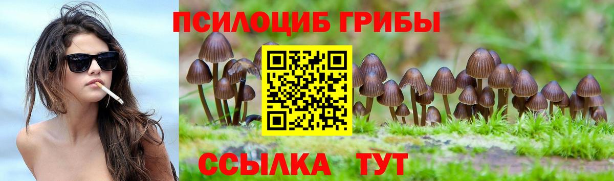 Галлюциногенные грибы Psilocybe Узловая